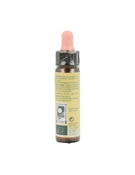 Flores De Bach Alamo Temblon-2 Elixir Floral Eco 10 ml de elixir floral Plantis
