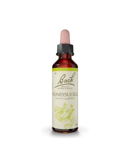 Flores de Bach Honeysuckle 20 ml de elixir floral Bach Original