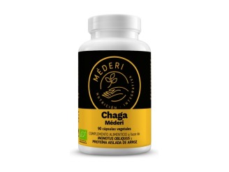 Chaga