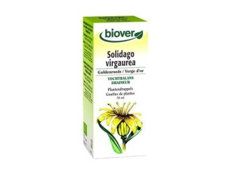 Solidago Virga Aurea (Vara de Oro) Tm