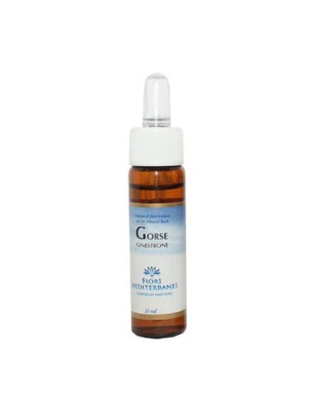 FM Gorse (Aulaga) 10 ml de elixir floral Forza Vitale