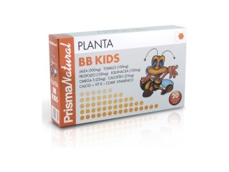 Planta Bb Kids