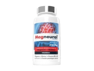 Magneural función psicológica normal