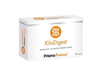 Xilodigest microbiota intestinal