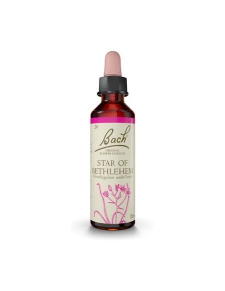 Bach Star of Bethlehem 20 ml de elixir floral Bach Original