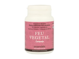 Feu Vegetal (La Carqueja)