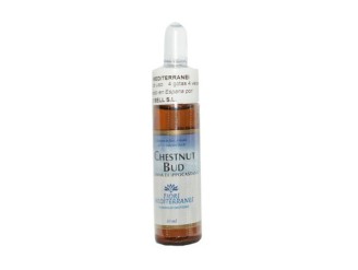 FM Chestnut Bud (Brote de Castaño)