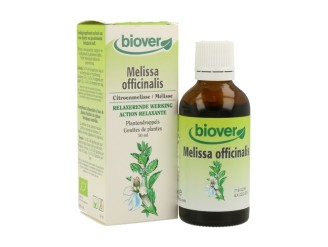 Melissa Officinalis (Melisa) Bio