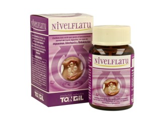 Nivelflatu