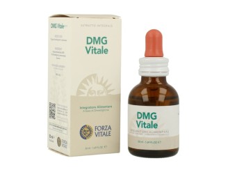 DMG Vitale