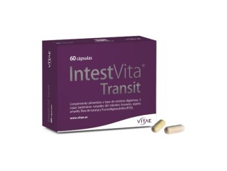 IntestVita Transit