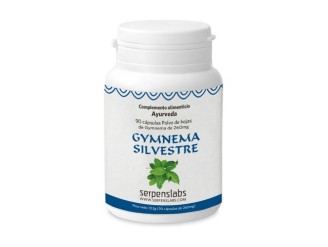 Gymnema Silvestre
