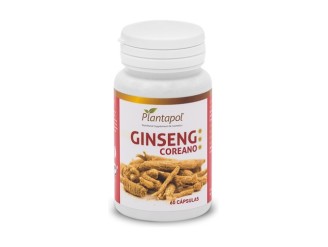 Ginseng Coreano