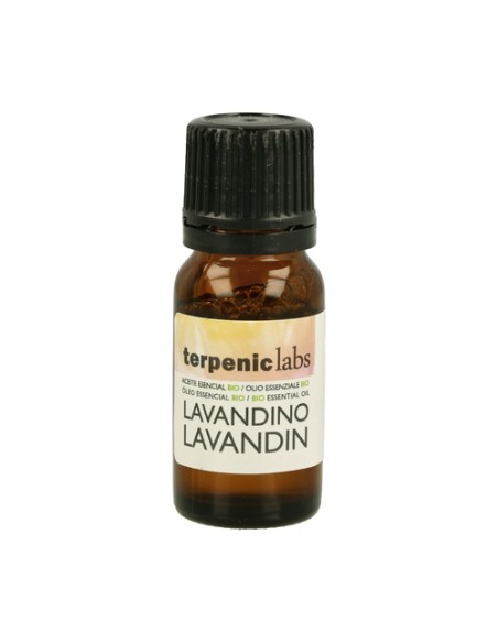 Aceite Esencial Lavandino 10 ml Terpenic