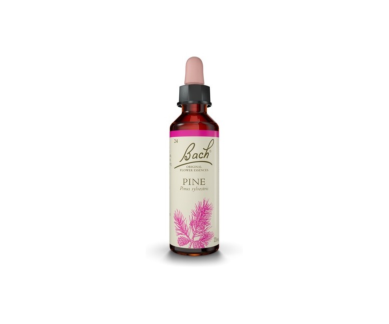 Flores de Bach Pine 20 ml de elixir floral Bach Original
