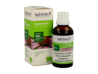 Extracto Equinacea Bio