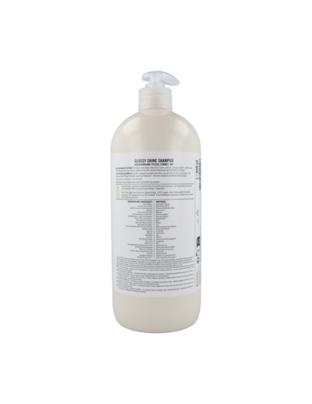 Champú brillo abedul 950 ml Sante
