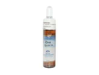 FM OAK (Roble)