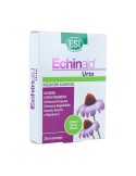 Echinaid urto
