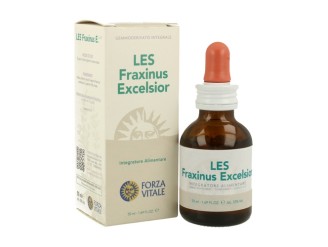 LES Fraxinus Excelsior