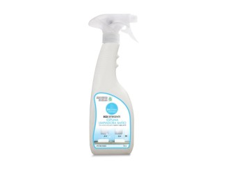 Detergente Espuma Limpiadora Baño Eco