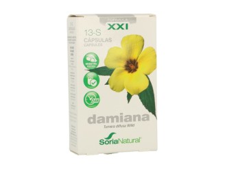 13 S Damiana (Fórmula XXI)