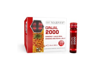 Ginjal