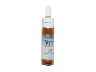 FM Cherry Plum (Cerasifera)