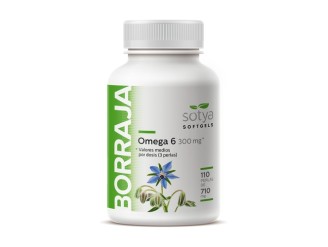 Borraja