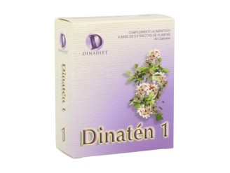 Dinaten 1