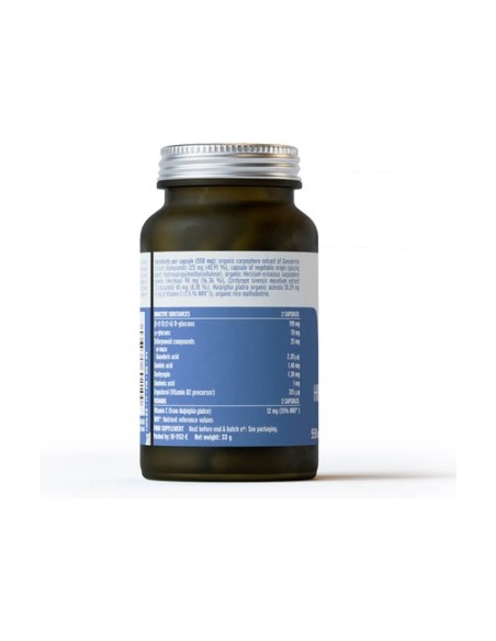 Hifas Equilibrium 60 cápsulas vegetales Hifas da terra