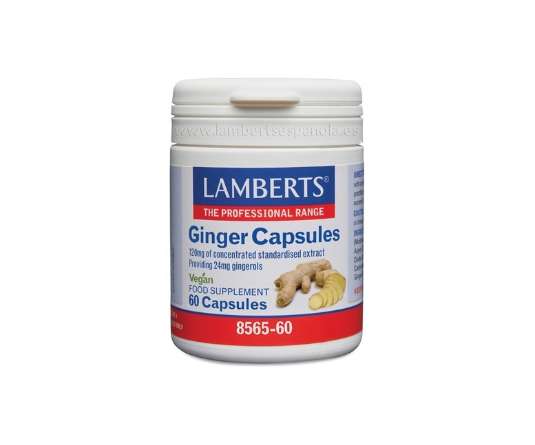 Jengibre 60 cápsulas de 120mg Lamberts