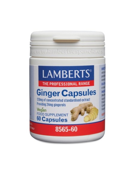 Jengibre 60 cápsulas de 120mg Lamberts