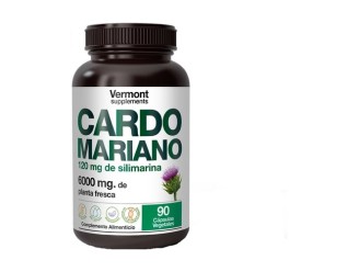 Cardo mariano