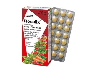 Floradix Hierro