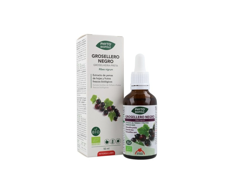 Phytobiopole Grosellero Negro (Antiinflamatorio Vasoprotector) 50 ml Intersa