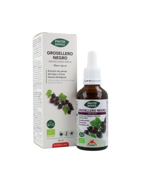 Phytobiopole Grosellero Negro (Antiinflamatorio Vasoprotector) 50 ml Intersa