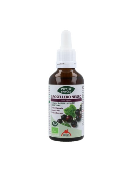 Phytobiopole Grosellero Negro (Antiinflamatorio Vasoprotector) 50 ml Intersa