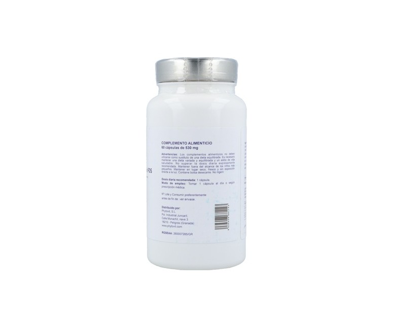 Bifidusflora sin fos 60 cápsulas Phytovit