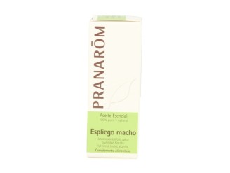 Espliego Macho Aceite Esencial