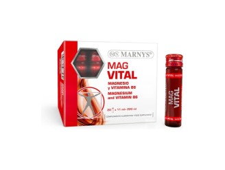 Magvital