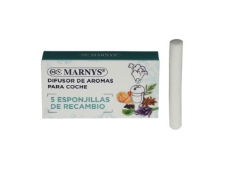 Recambios difusor coche esponjas