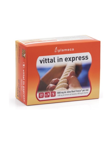 Vittal In Express Jalea Real 20 ampollas de 10ml Plameca