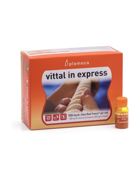 Vittal In Express Jalea Real 20 ampollas de 10ml Plameca