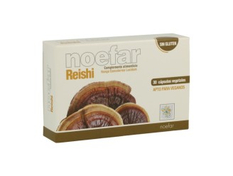 Reishi