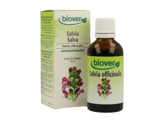 Salvia Officinalis (Salvia) Tm