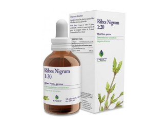 PSC Ribes Nigrum