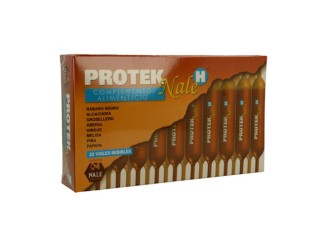 Protek H