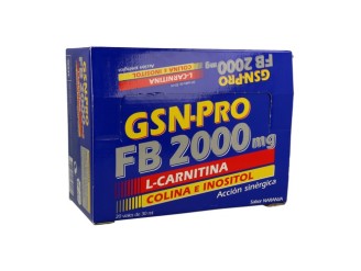 GSN-Pro FB 2000