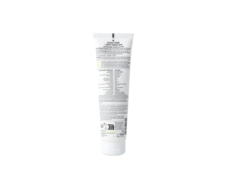 Mascarilla 3 brillo family abedul bio & proteina vegetal 100 ml Sante